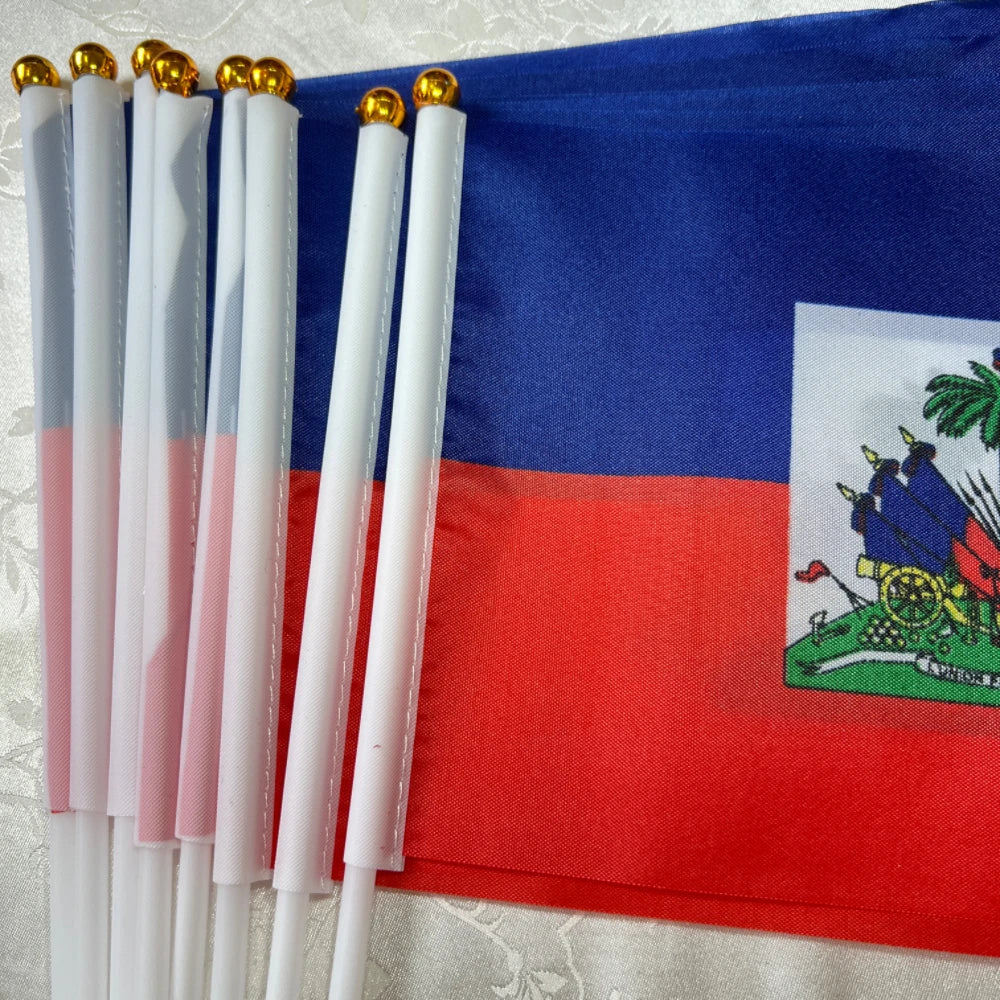 Haitian flag  holding plastic flagpole waving flag parade/sports event