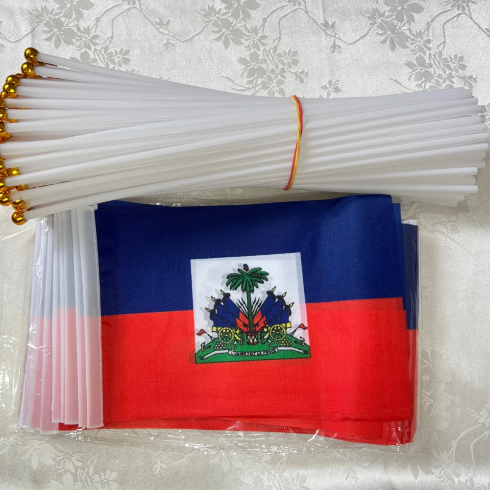 Haitian flag  holding plastic flagpole waving flag parade/sports event