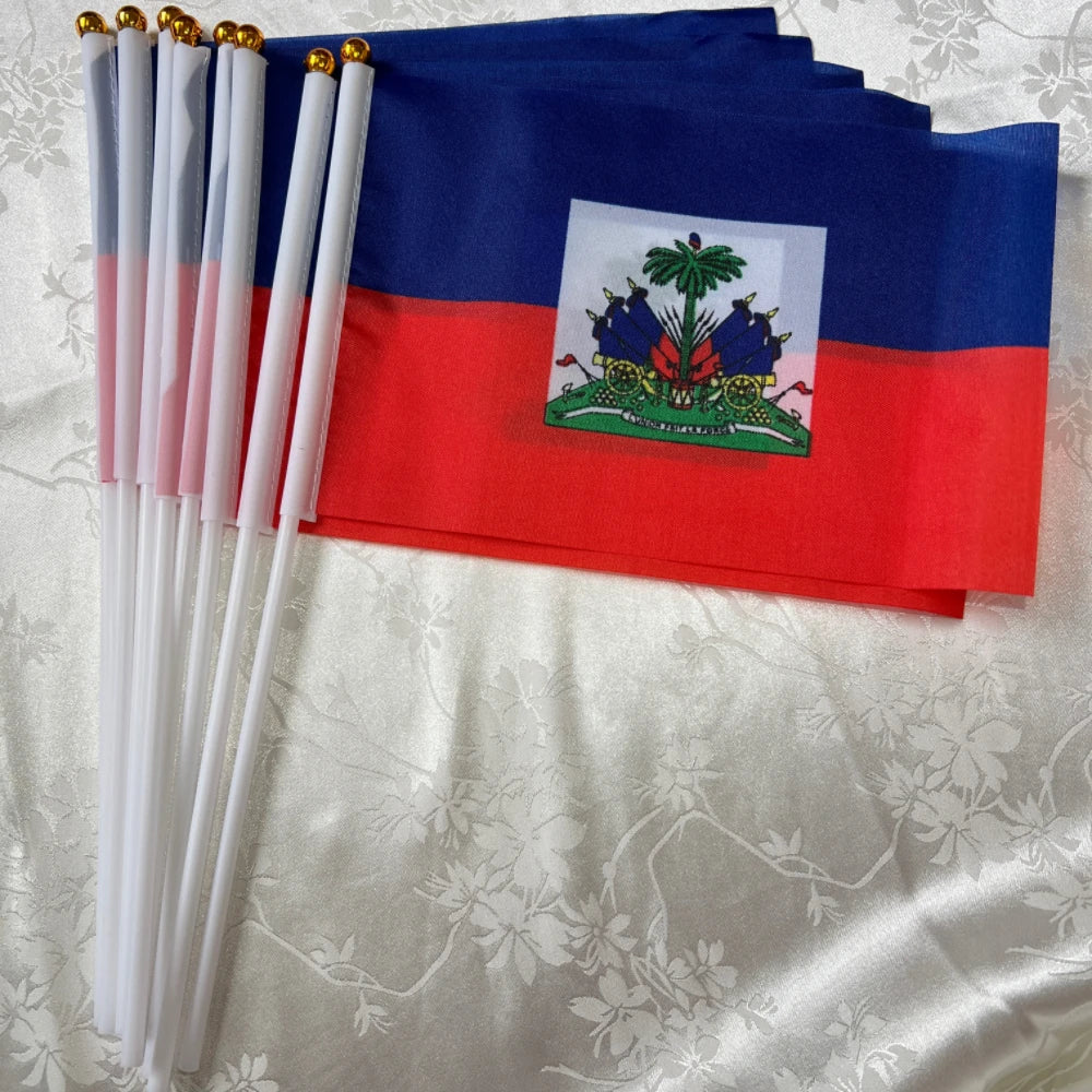 Haitian flag  holding plastic flagpole waving flag parade/sports event