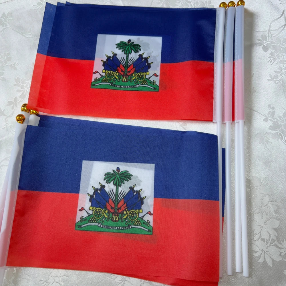 Haitian flag  holding plastic flagpole waving flag parade/sports event