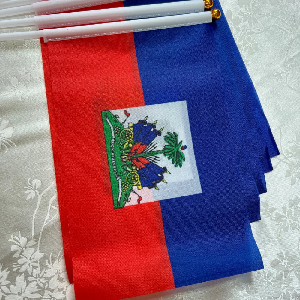 Haitian flag  holding plastic flagpole waving flag parade/sports event